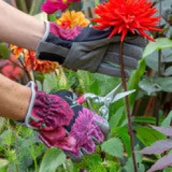 Burgon & Ball RHS British Blooms Gardening Gloves