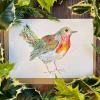 Jen Winnett Robbie the Robin Blank Greetings Eco Card