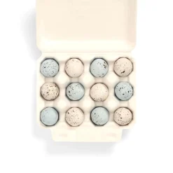 The Chocolate Detective 12 Robin Eggs by