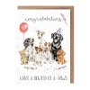 Wrendale Designs 'Round of A-Paws' Birthday' Dog Congratulations Greetings Card
