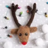Hawthorn Handmade Rudolph Brooch Felting Kit