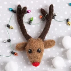 Hawthorn Handmade Rudolph Brooch Felting Kit