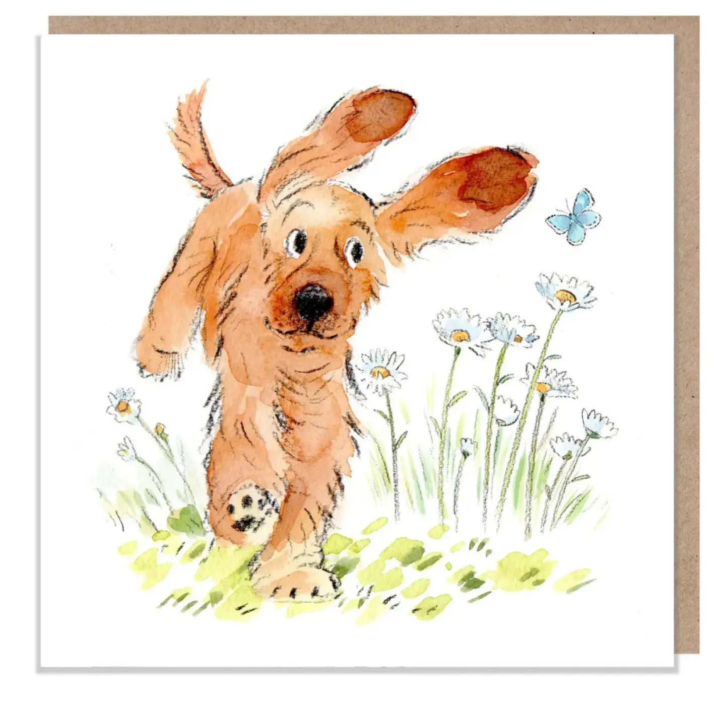 Paper Shed Design Running Cocker Spaniel Greetings Card