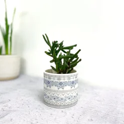 Alex Allday Safflower Ceramic Tea Light Holder