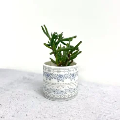 Alex Allday Safflower Ceramic Tea Light Holder