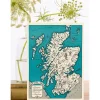 Madame Treacle Scotland 1930 Greetings Card