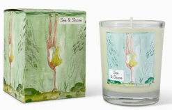 Heaven Scent Sea & Shore Votive Candle - Diving for Shells