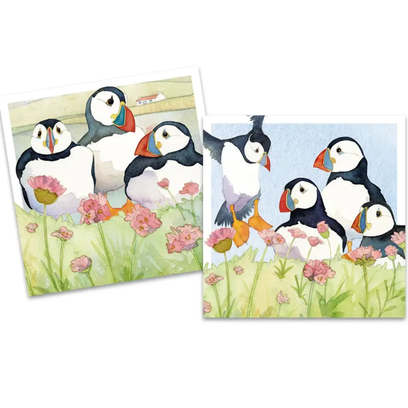 Emma Ball Sea Thrift Puffins pack of 10 Mini Notecards