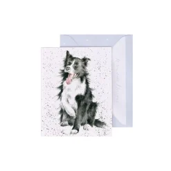 Wrendale Designs 'Shadow' Border Collie Gift Enclosure Card