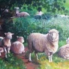 All Jigsaw Puzzles Sheep In Shade 1000 Piece Jigsaw Puzzle