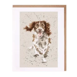 Wrendale Designs 'Skye' Springer Spaniel Greetings Card