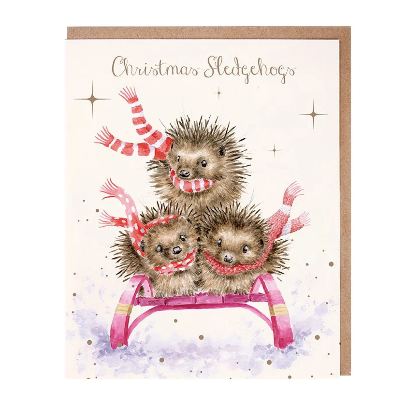 Wrendale Designs 'Sledgehogs' Hedgehog Christmas Card Pack