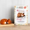 The Crafty Kit Co. Sleepy Fox Needle Felting Kit