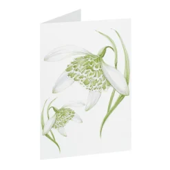 Jane Abbott Designs Snowdrop Greeting Card