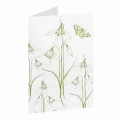 Jane Abbott Designs Snowdrop Little Flowers Greeting Card