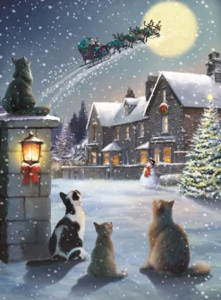 Alison Gardiner Snowy Village Advent Calendar Card