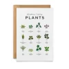 Everlong Print Co. Sometimes I Wet my Plants Card