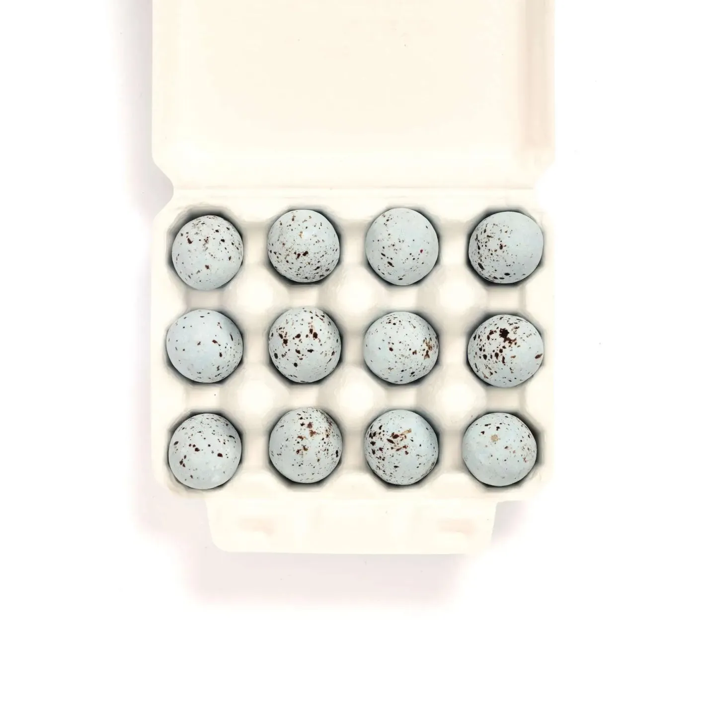 The Chocolate Detective 12 Song Thrush Eggs by