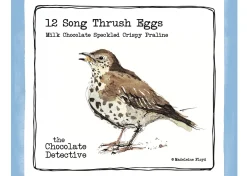The Chocolate Detective 12 Song Thrush Eggs by