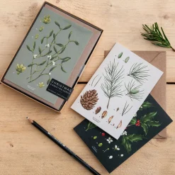 Catherine Lewis Species Range - Box of 8 Luxury Botanical Christmas Cards