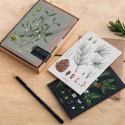 Catherine Lewis Species Range - Box of 8 Luxury Botanical Christmas Cards