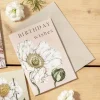 Catherine Lewis Spring Blossom - Birthday Wishes - card