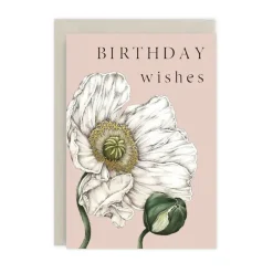 Catherine Lewis Spring Blossom - Birthday Wishes - card