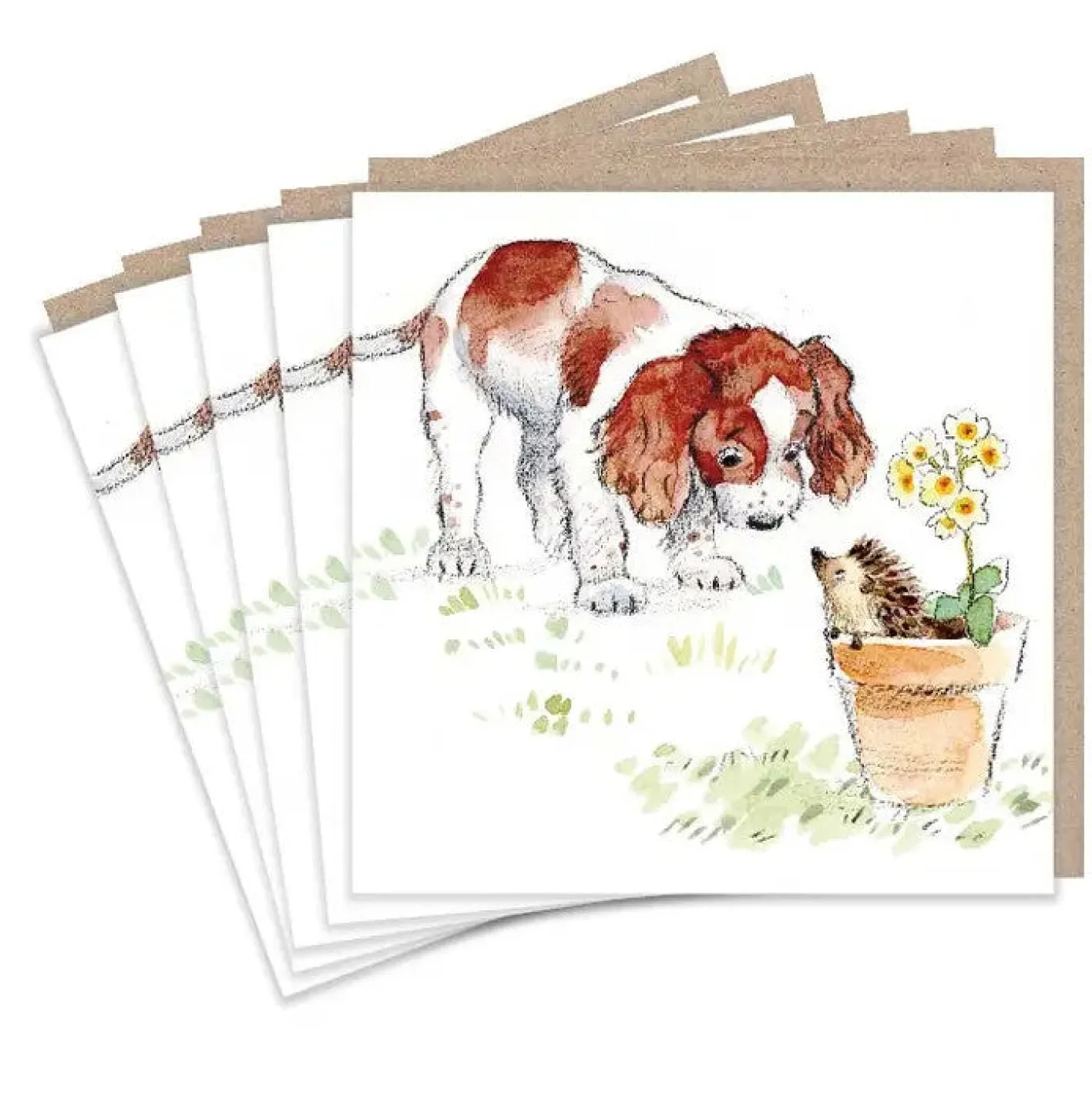 Paper Shed Design Springer Spaniel and Hedgehog Set of 5 Notecards