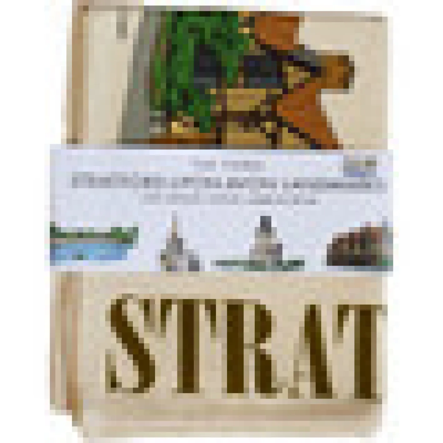 Town Towels Stratford-upon-Avon Landmarks Tea Towel