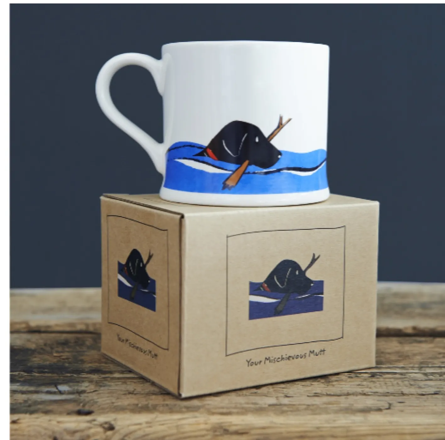 Sweet William Swimming Black Labrador Mug Boxed