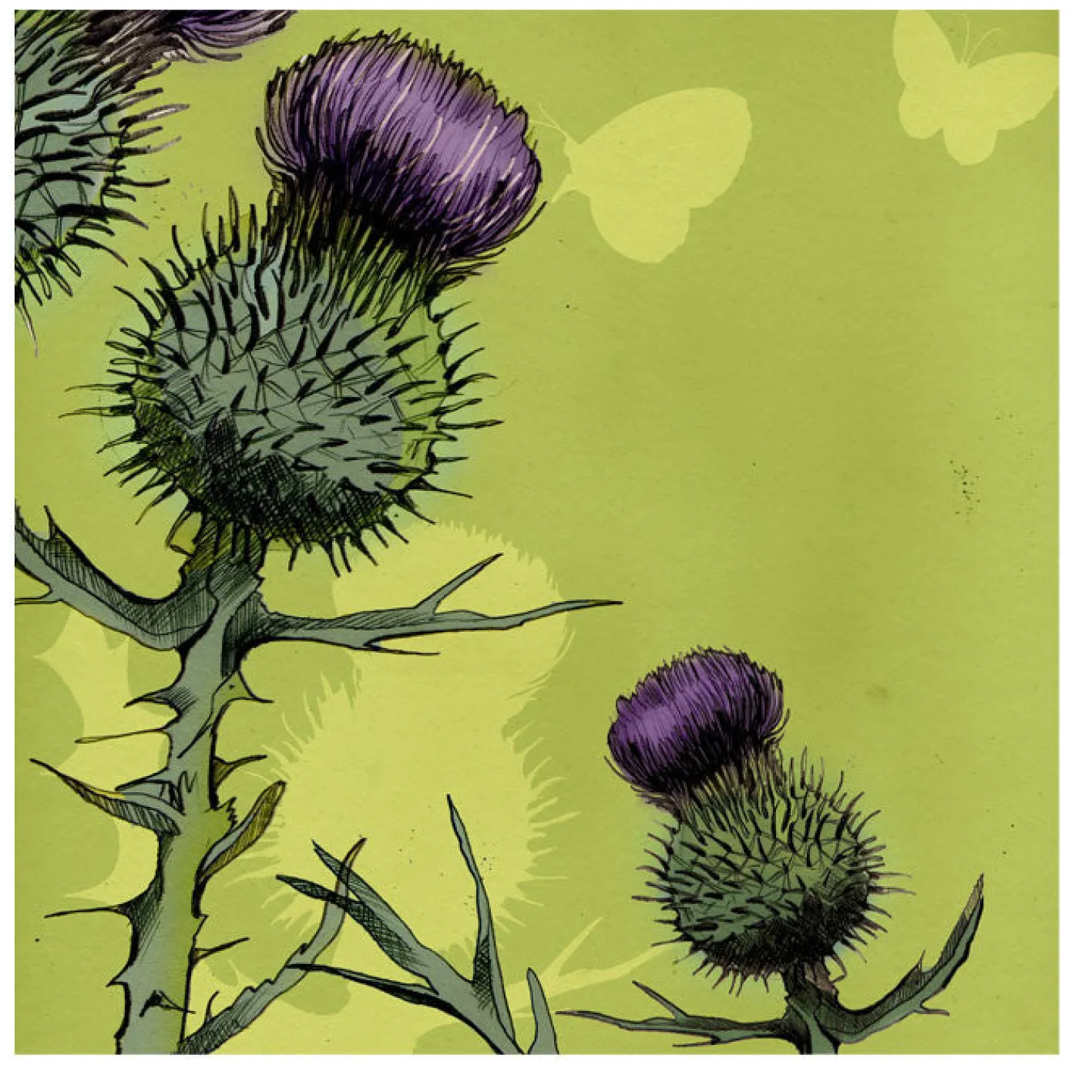 Emma Ball Thistle Greetings Card