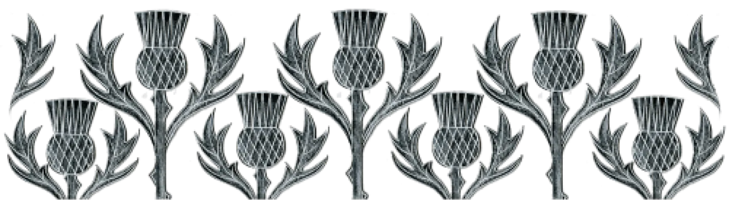 Moorland Pottery Thistle Mug by