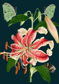 Madame Treacle Tiger Lily Greetings Card