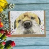 Jen Winnett Tilly the Border Terrier Eco-card
