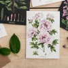 Catherine Lewis Tree Peony - card
