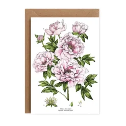 Catherine Lewis Tree Peony - card