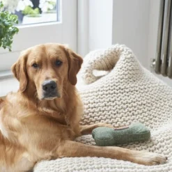 Sweet William Tweed Dog Bone Shaped Dog Toy - Green