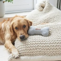 Sweet William Tweed Dog Bone Shaped Dog Toy - Grey