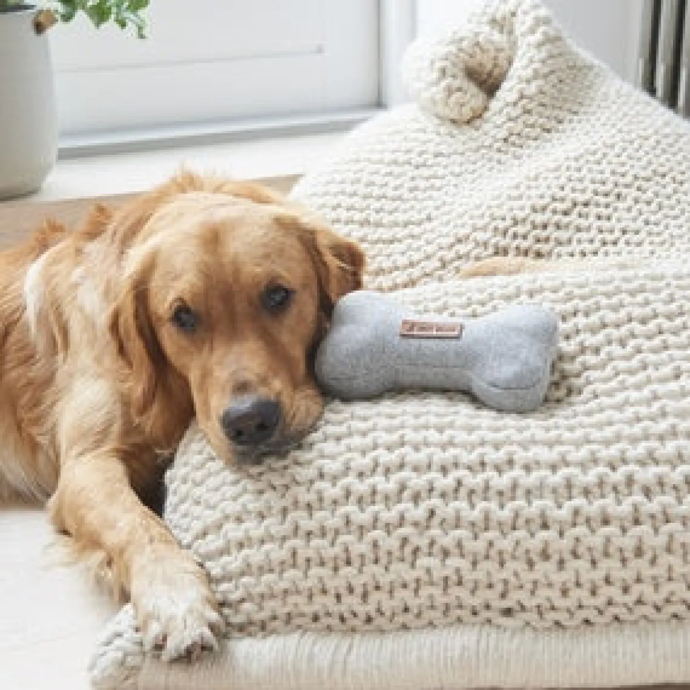Sweet William Tweed Dog Bone Shaped Dog Toy - Grey