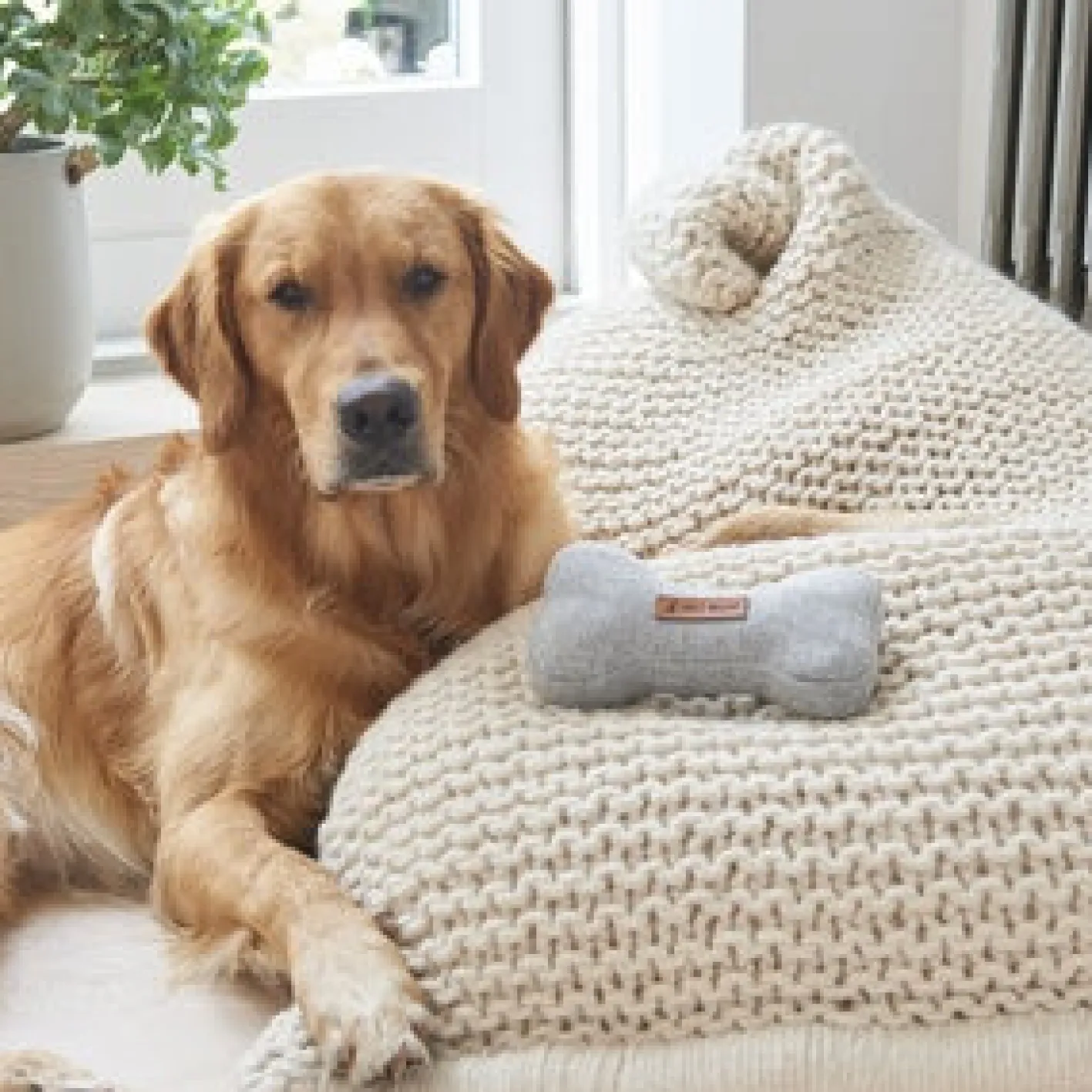 Sweet William Tweed Dog Bone Shaped Dog Toy - Grey