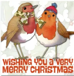 Emma Ball Two Robins Pack of 6 Christmas Cards