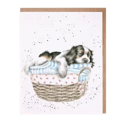 Wrendale Designs Wash, Dry, Fold, Repeat Greetings Card
