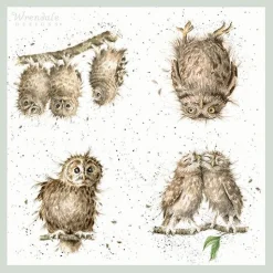 Wrendale Designs 'What a Hoot' Owl Paper Napkins