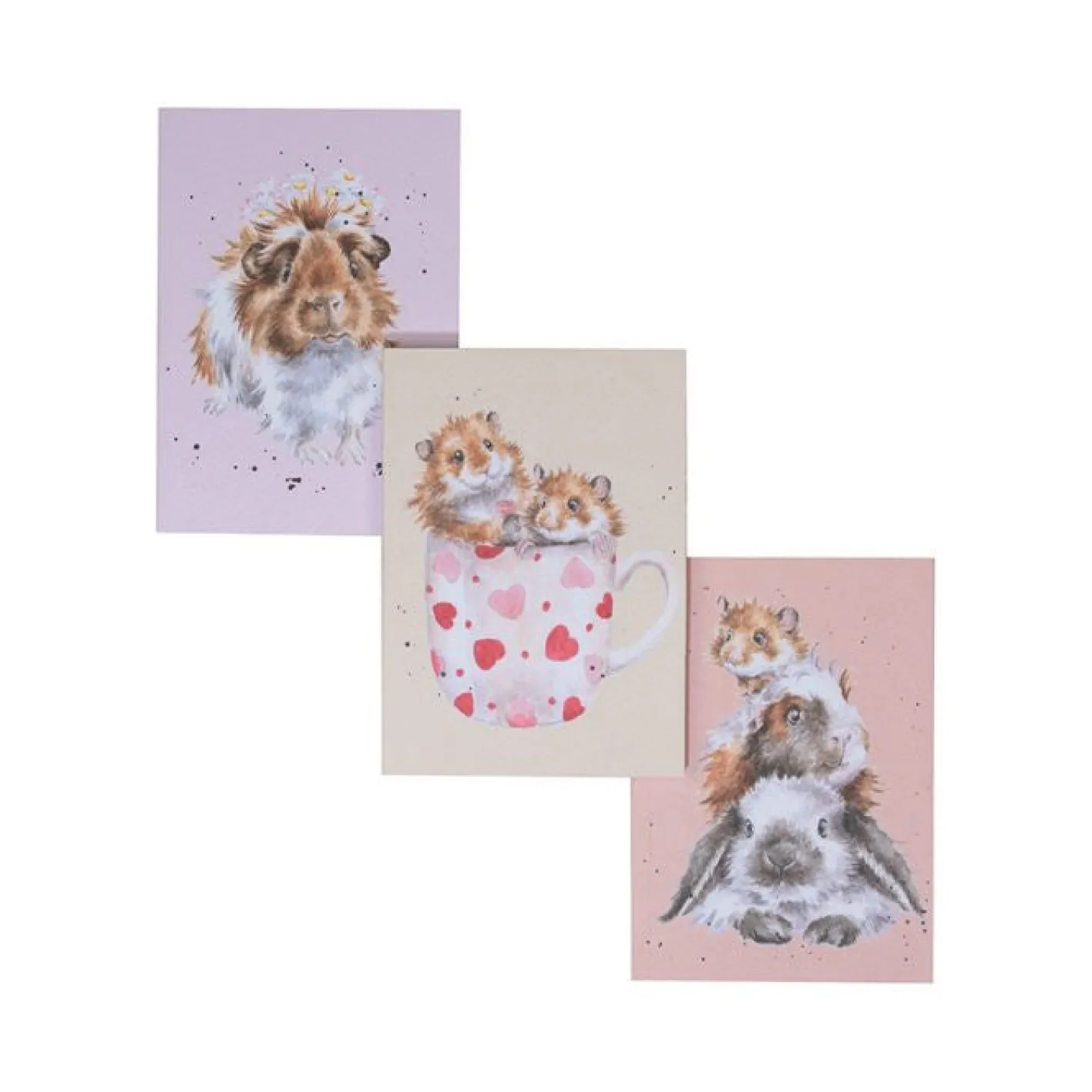 Wrendale Designs Whiskers & Paws - Set of 3 Notebooks