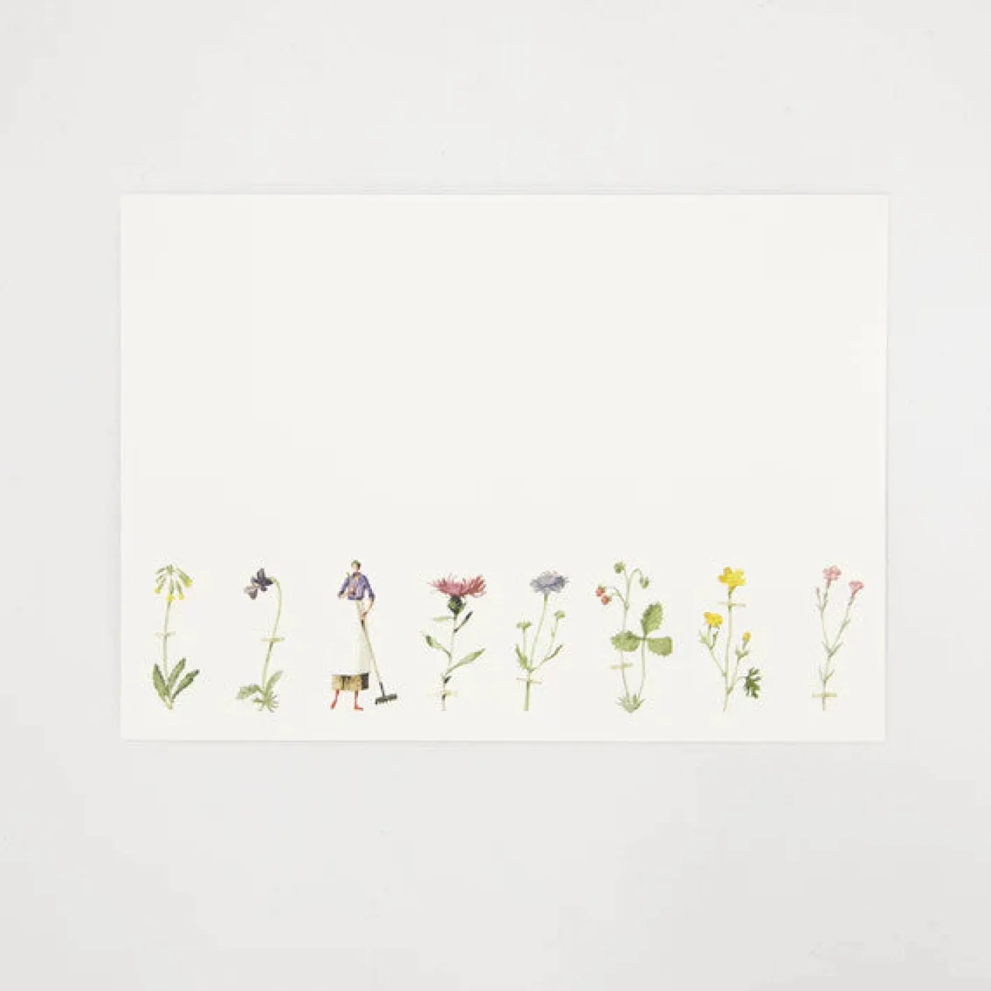 Laura Stoddart Wildflowers Flat Notes Set