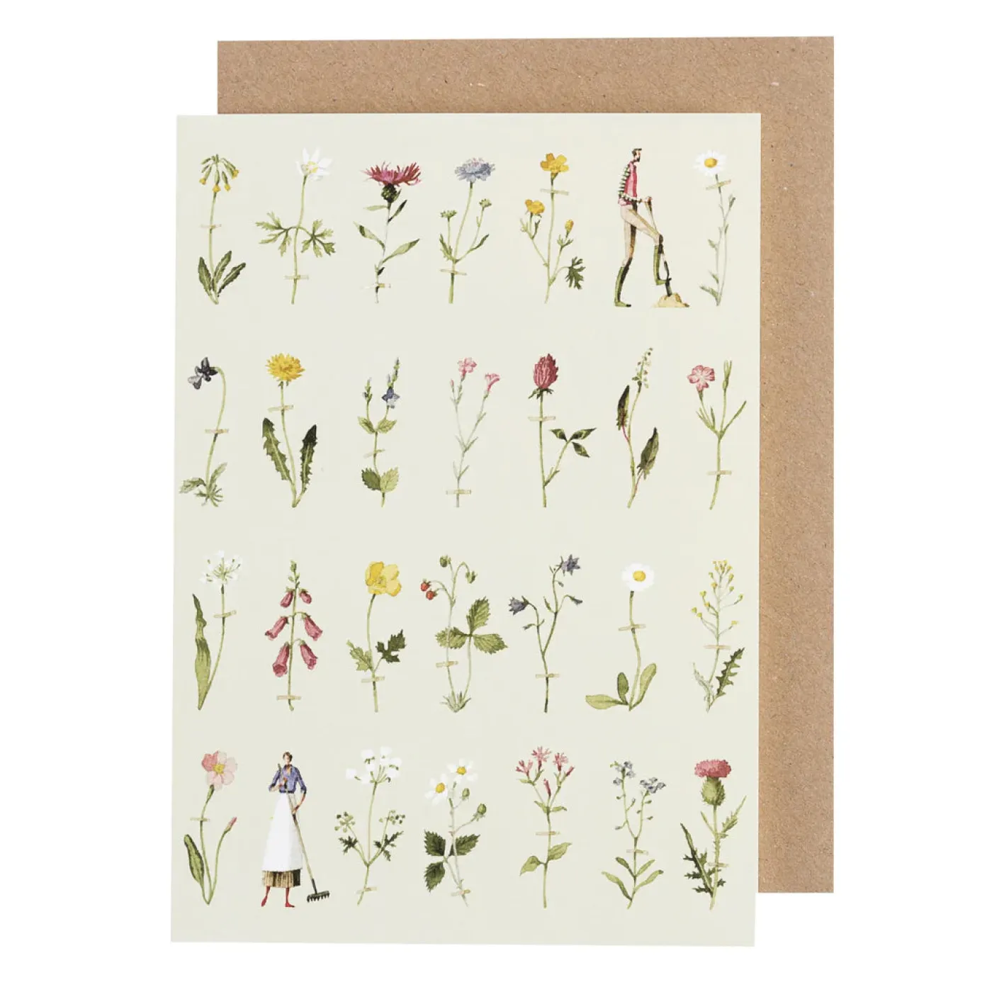 Laura Stoddart Wild Flowers Greetings Card