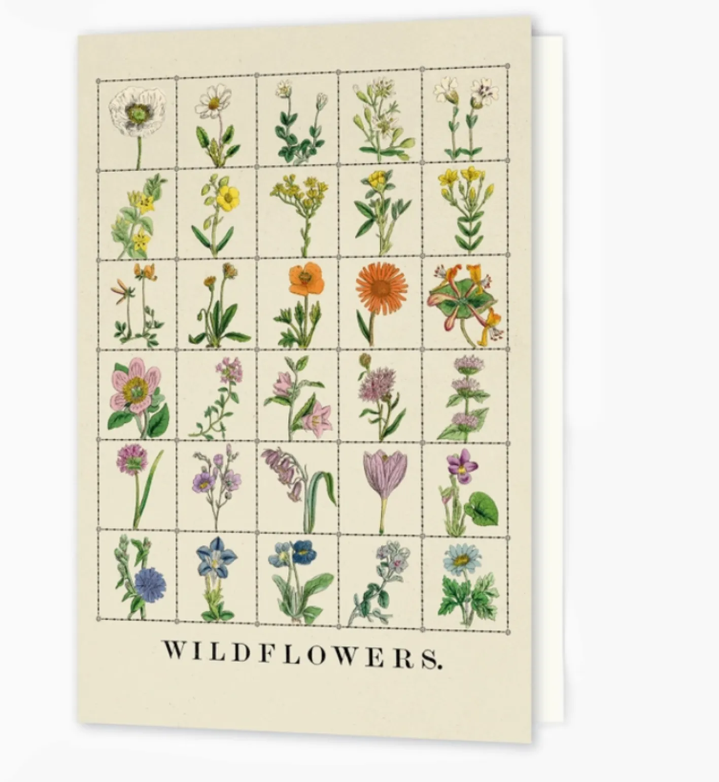 Roomytown Wildflowers Greetings Card