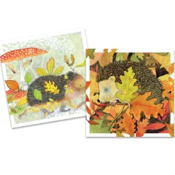 Emma Ball Wildlife Hedgehogs Pack of 10 Mini Notecards