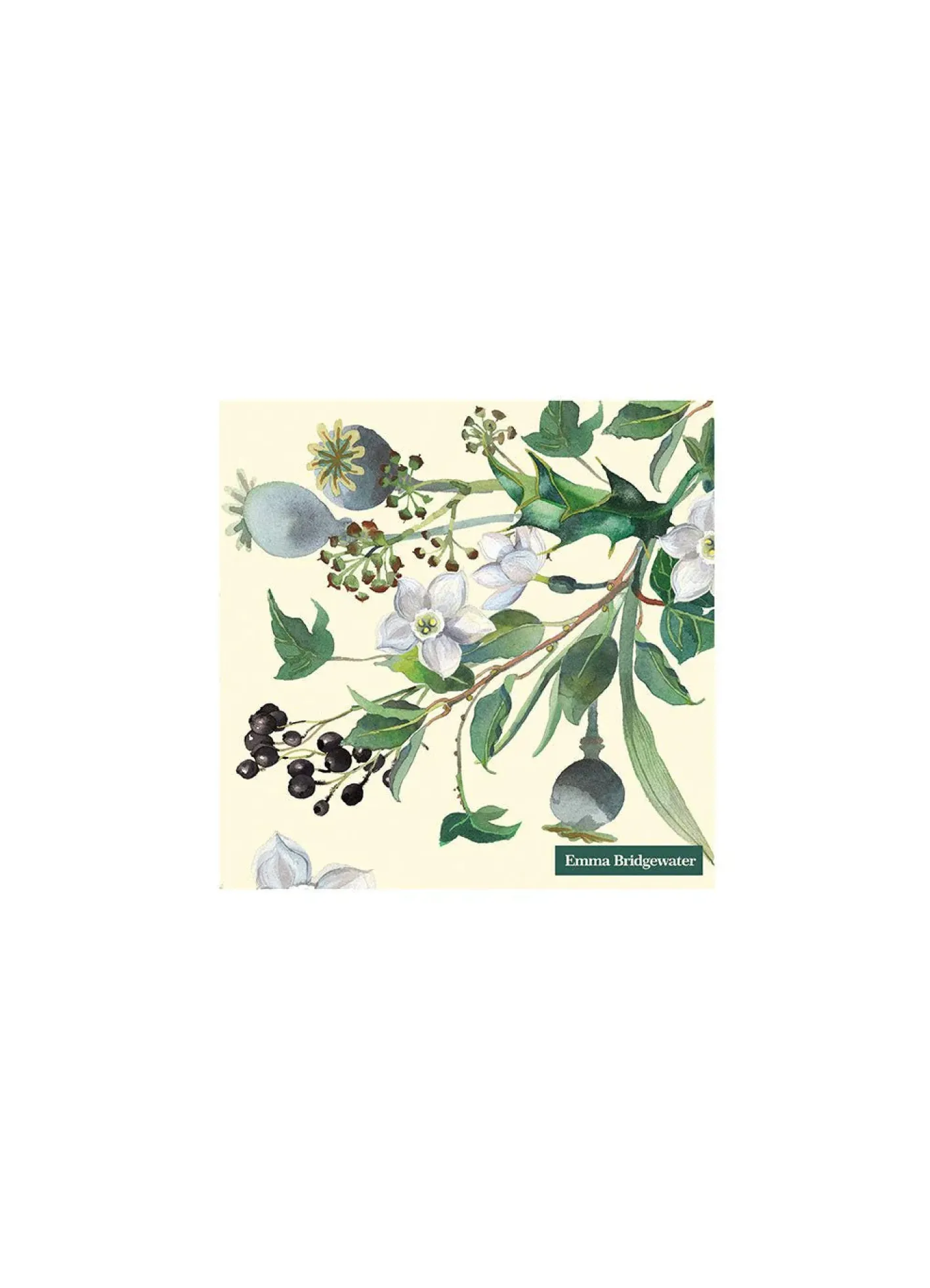 Emma Bridgewater Winter Flowers Paper Napkins