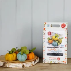 The Crafty Kit Co. Woolly Pumpkins Needle Felting Kit